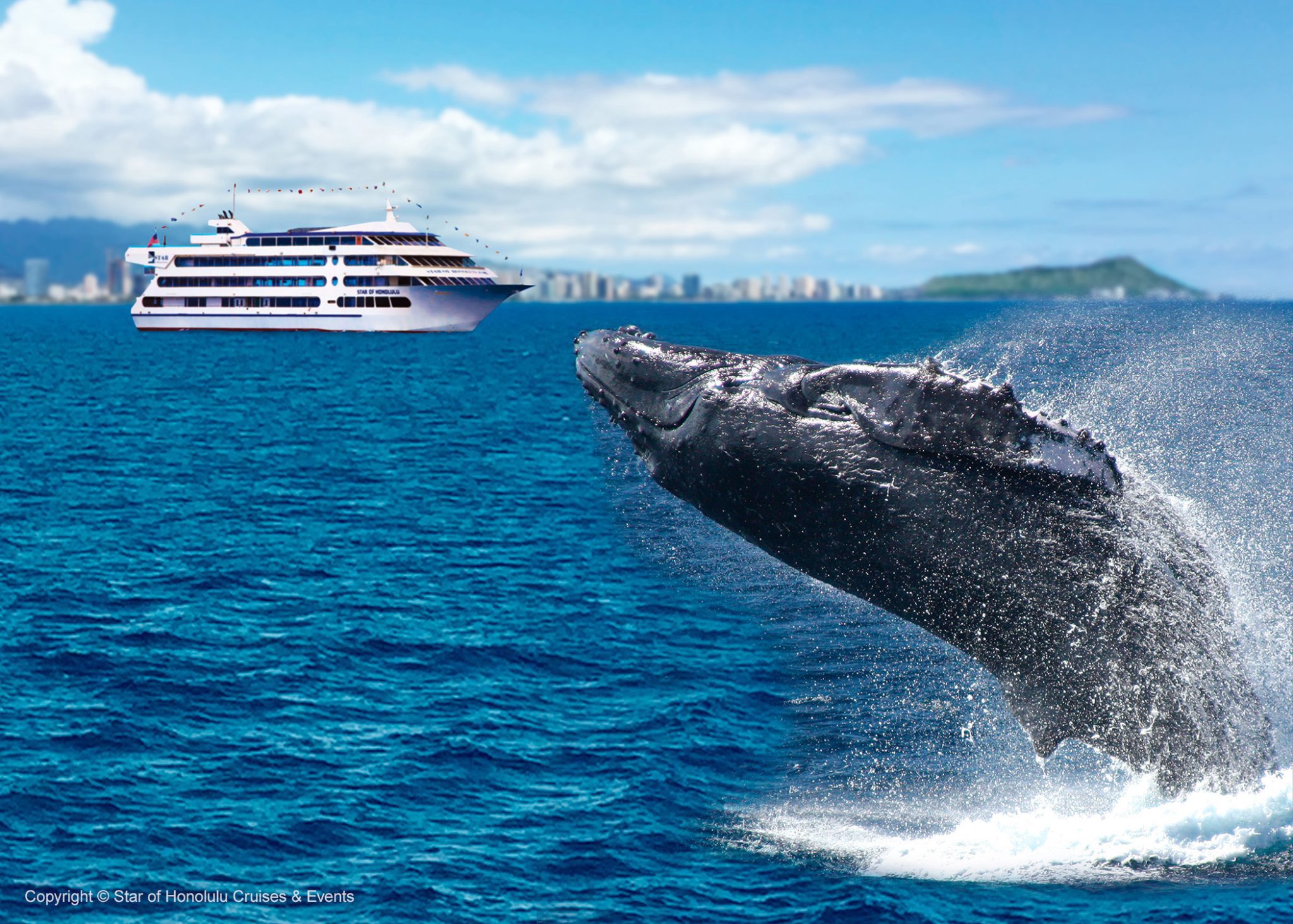 honolulu star whale watching cruise