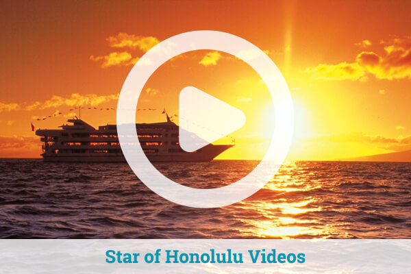 Star of Honolulu Videos
