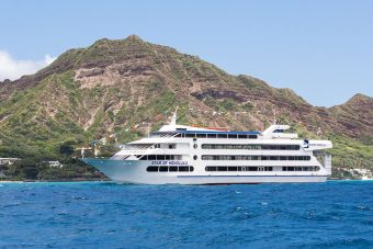 Whale Watching Oahu